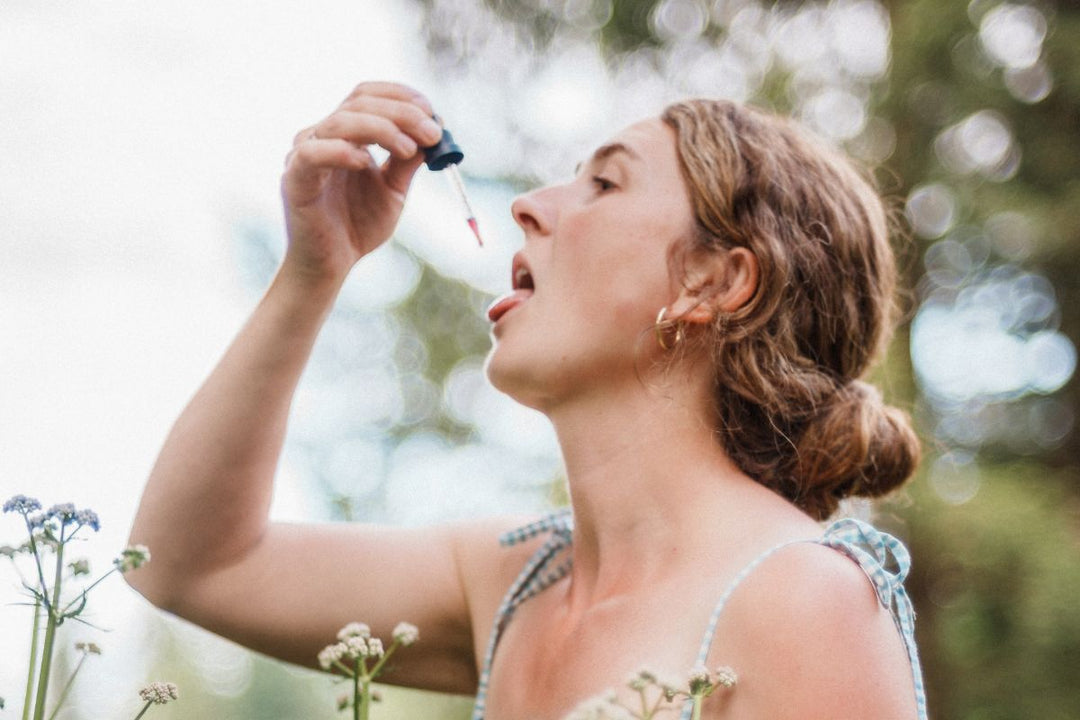 The Meaning of Herbal Flavors
