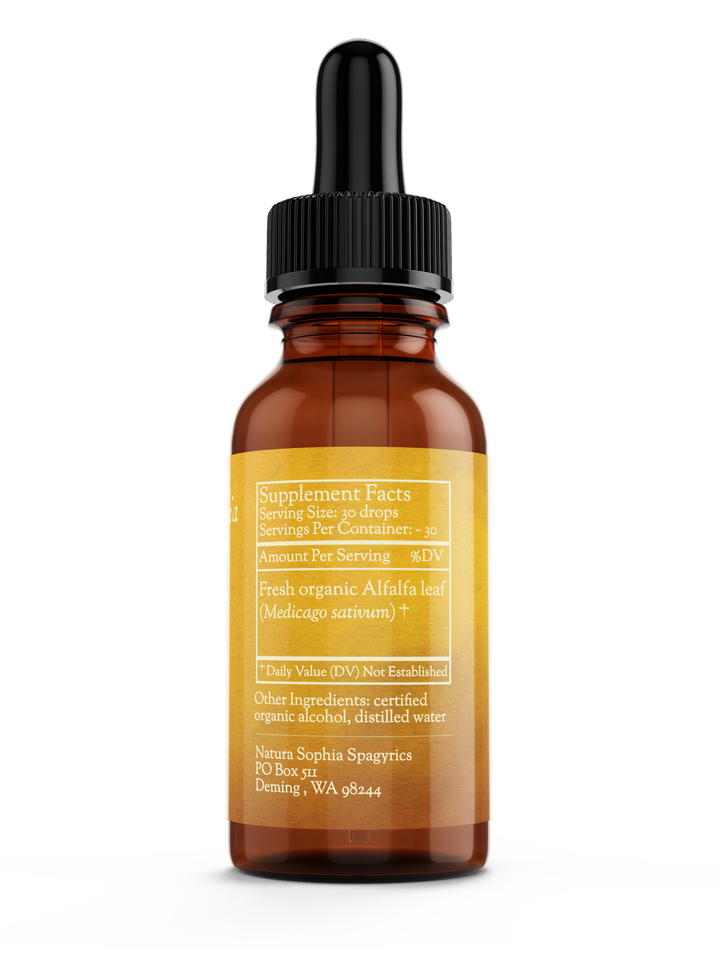 Alfalfa (Medicago sativum) Spagyric Tincture (wholesale dosage bottle)