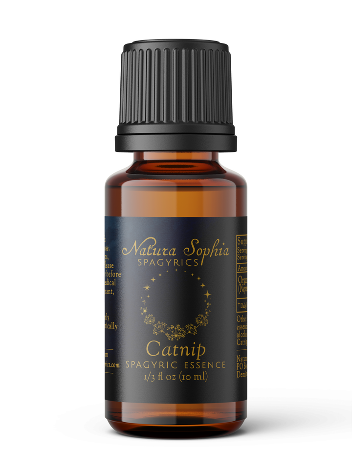Catnip (Nepeta cataria) Spagyric Essence (wholesale dosage bottle)