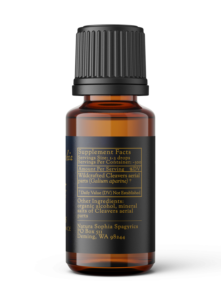 Cleavers (Galium aparine) Spagyric Essence (wholesale dosage bottle)