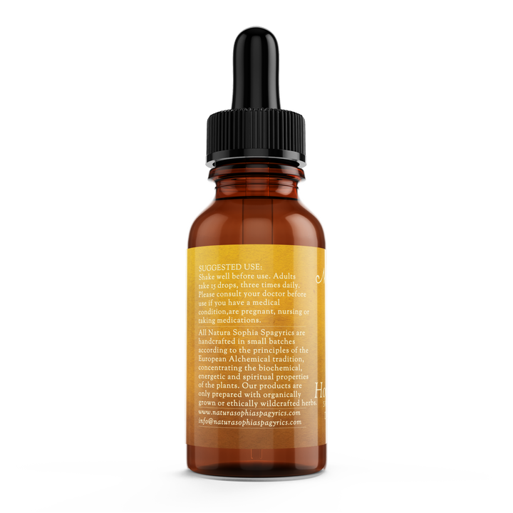 Horse Chestnut (Aesculus hippocastanum) Spagyric Tincture (wholesale dosage bottle)