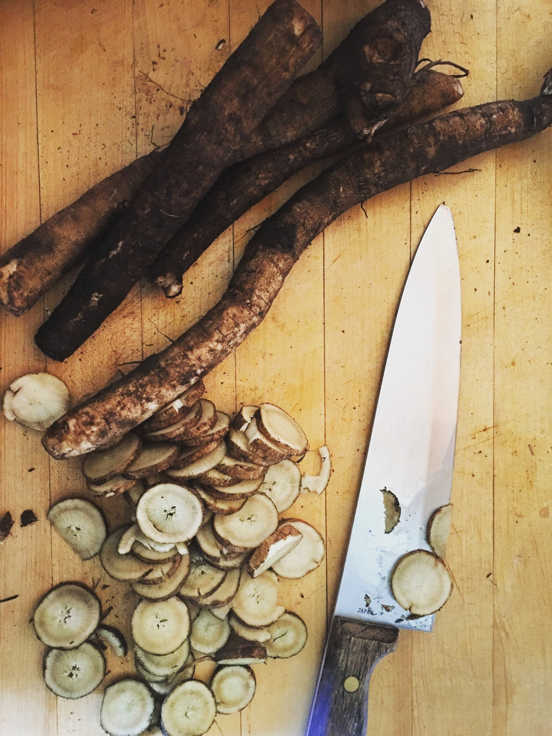 Burdock (Arctium lappa) Spagyric Tincture (wholesale dosage bottle)