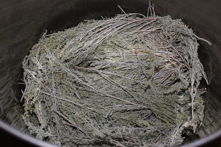 Sagebrush (Artemesia tridentata) Spagyric Essence (wholesale dosage bottle)