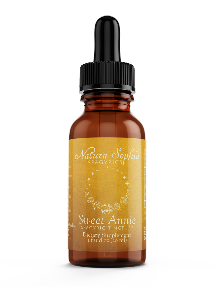 Sweet Annie (Artemesia annua) Spagyric Tincture (wholesale dosage bottle)