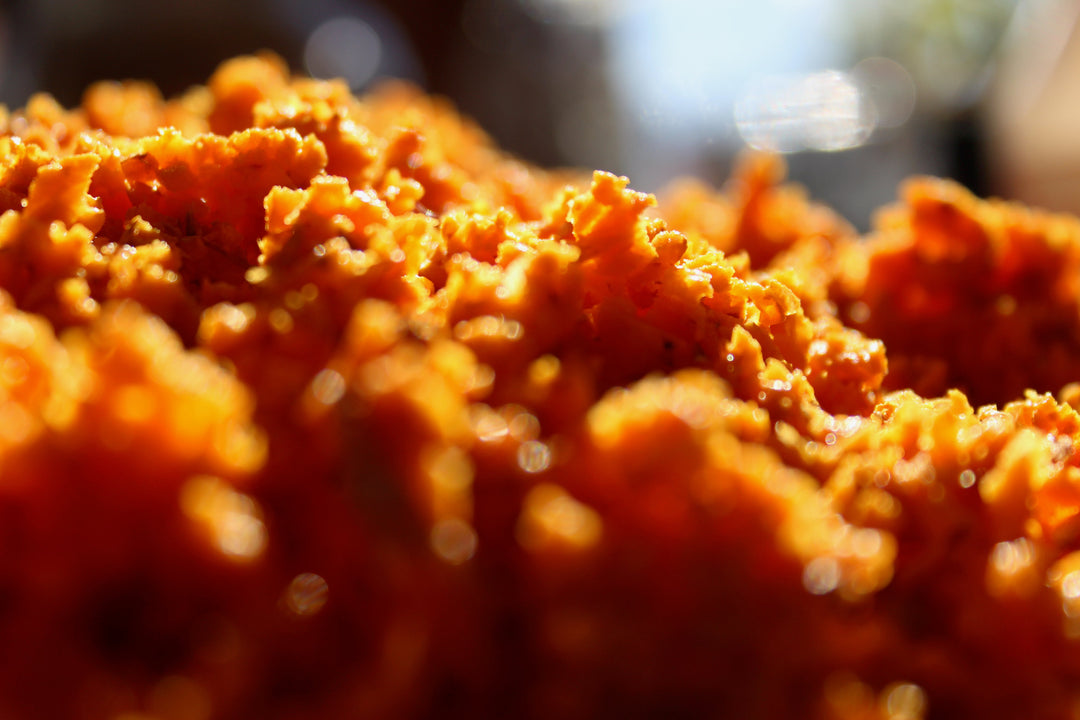 Turmeric (Curcuma xanthorrhiza) Spagyric Essence (wholesale dosage bottle)