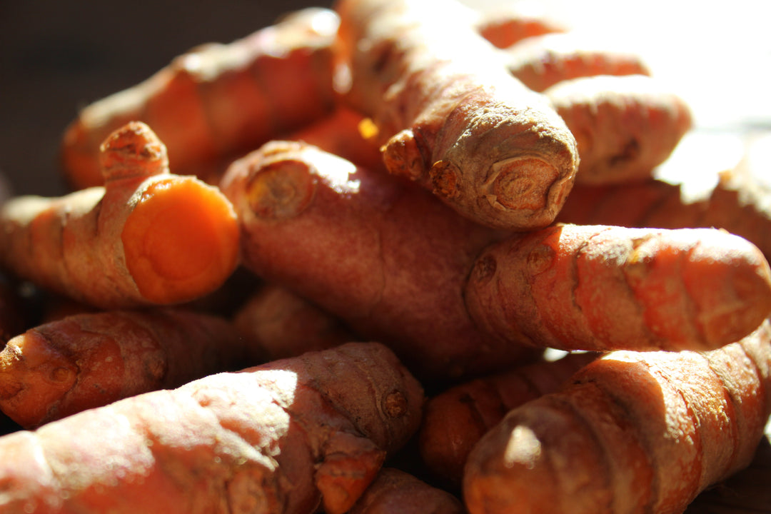 Turmeric (Curcuma xanthorrhiza) Spagyric Essence (wholesale dosage bottle)