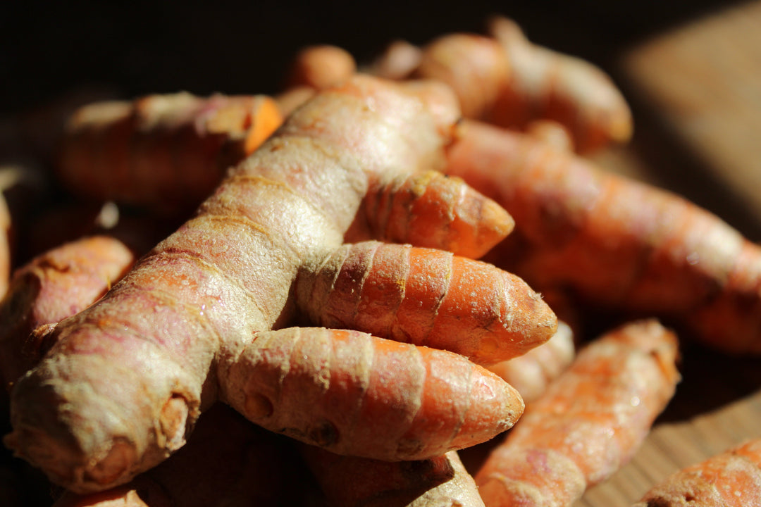 Turmeric (Curcuma xanthorrhiza) Spagyric Tincture (wholesale dosage bottle)