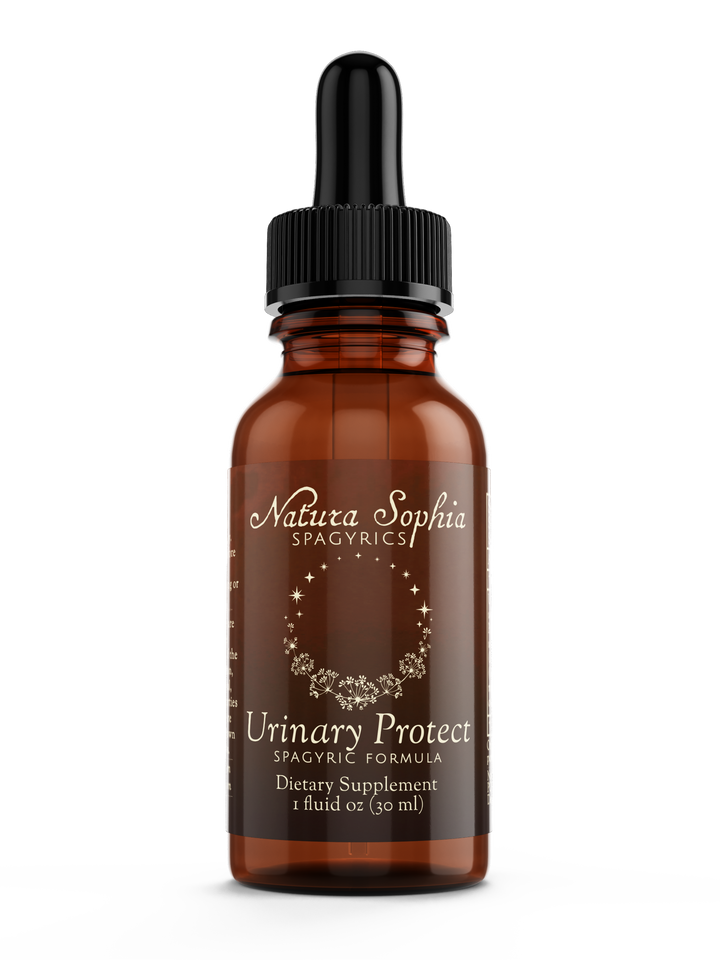 Urinary Protect Spagyric Formula (wholesale dosage bottle)