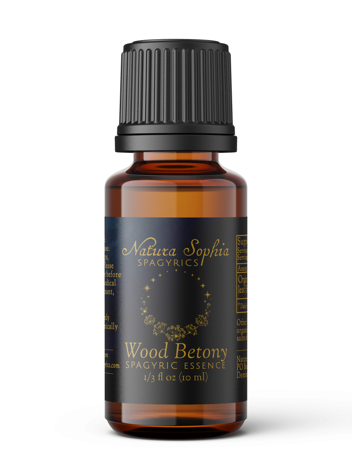 Wood Betony (Stachys officinalis) Spagyric Essence (wholesale dosage bottle)