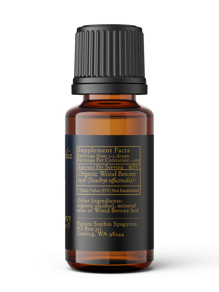 Wood Betony (Stachys officinalis) Spagyric Essence (wholesale dosage bottle)