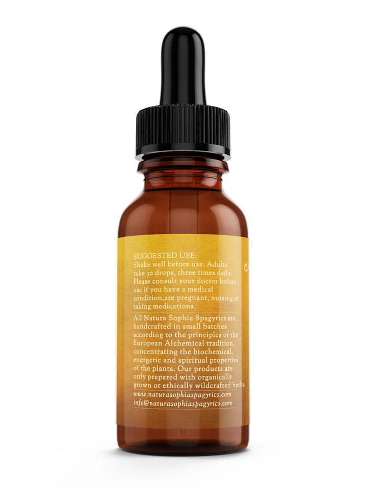 Lomatium (Lomatium dissectum) Spagyric Tincture (wholesale dosage bottle)