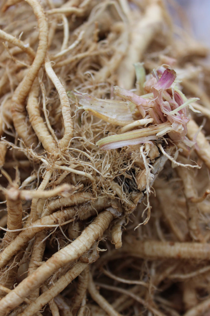 Heart Restore Spagyric Formula (wholesale dosage bottle)