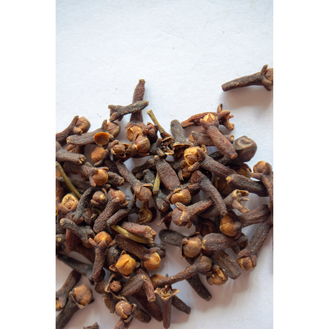 Clove (Sygyzium aromaticum) Spagyric Tincture (wholesale dosage bottle)