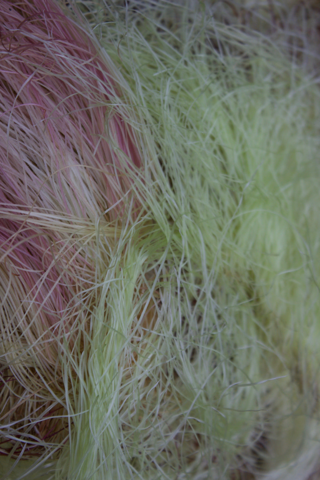 Urinary Soothe Spagyric Formula (wholesale dosage bottle)