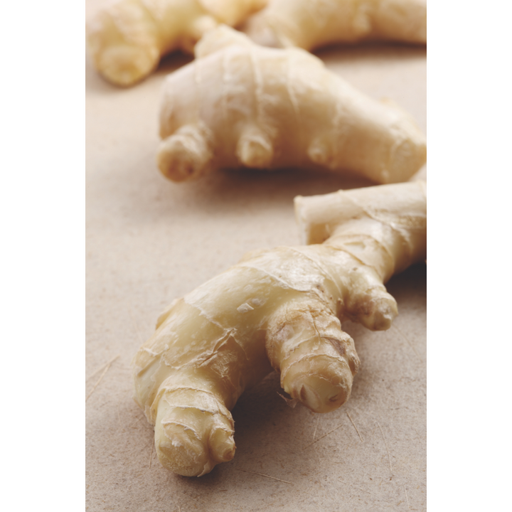 Digest Well Spagyric Formula (wholesale dosage bottle)