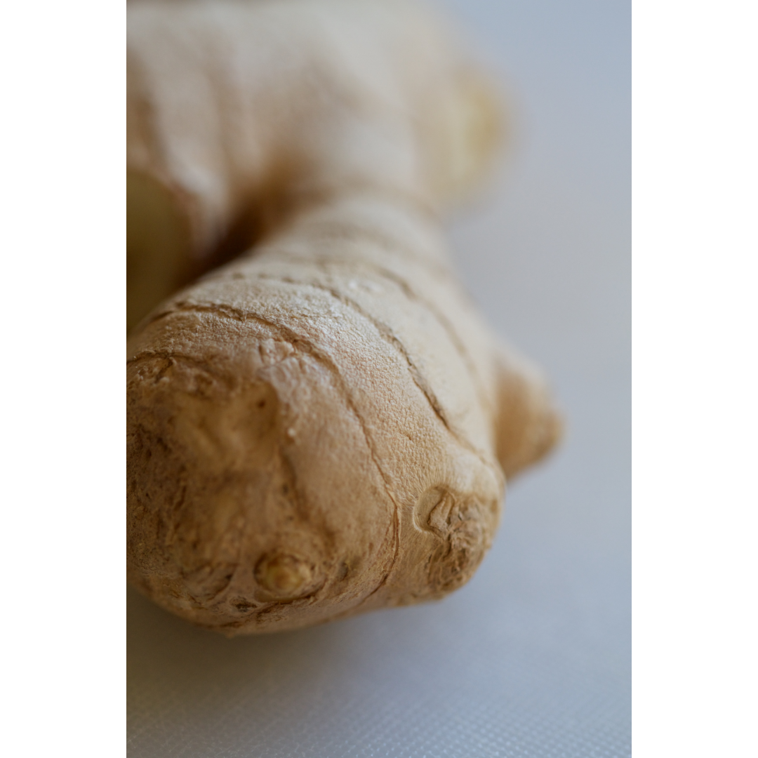 Diaphoretic Spagyric Formula (wholesale dosage bottle)